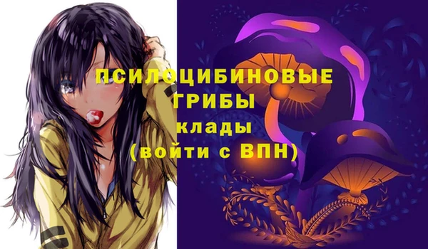 2c-b Беломорск