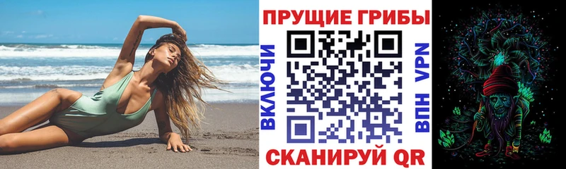 закладки  Волжск  Галлюциногенные грибы прущие грибы 